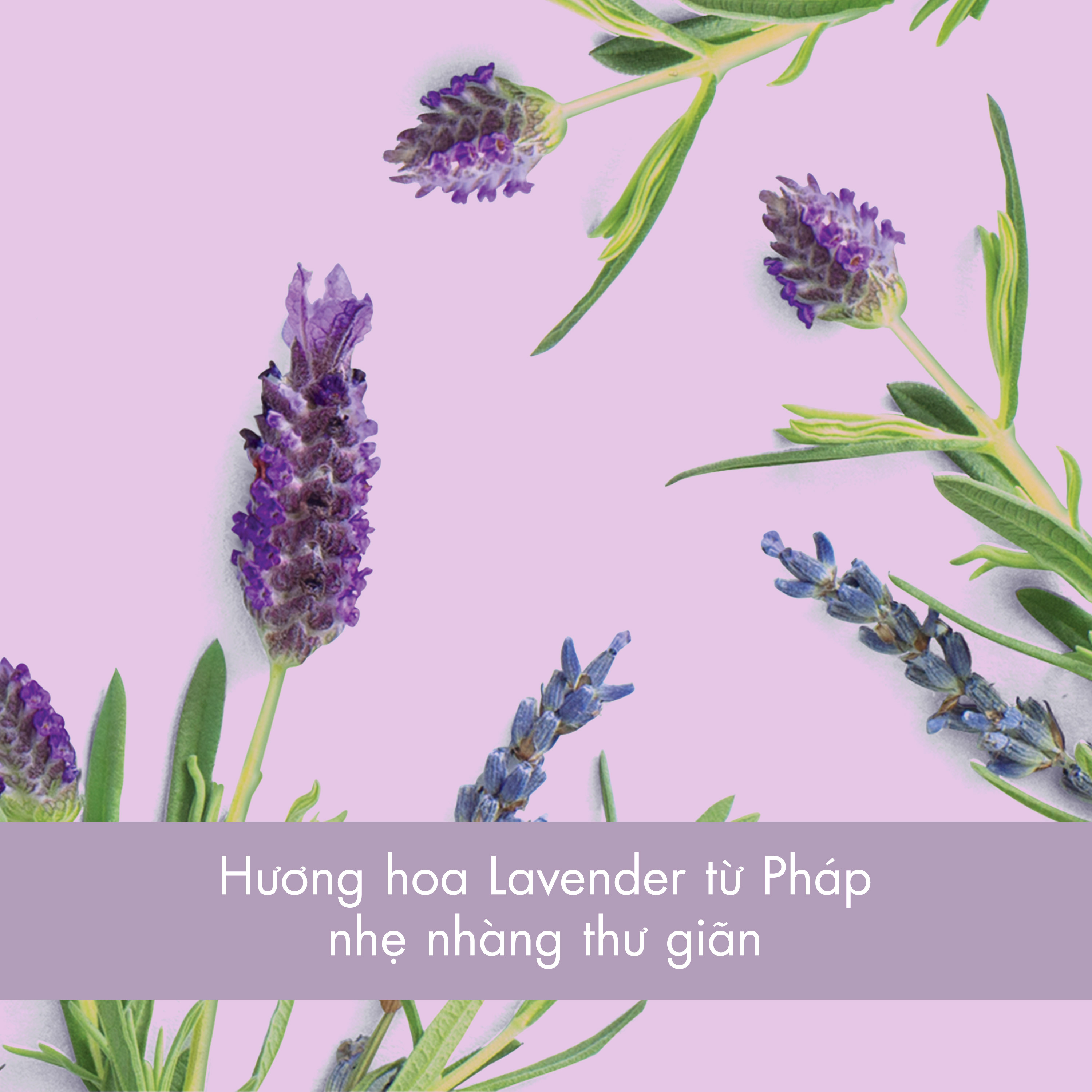 KEM DƯỠNG LOVE BEAUTY & PLANET CHO TÓC VÀO NẾP SUÔN MƯỢT 118ML | BigBuy360 - bigbuy360.vn