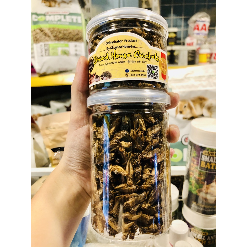 Côn trùng sấy khô thơm ngon,chất lượng made in Thailand  hũ to dành cho Hamster,Sóc bay,nhím...