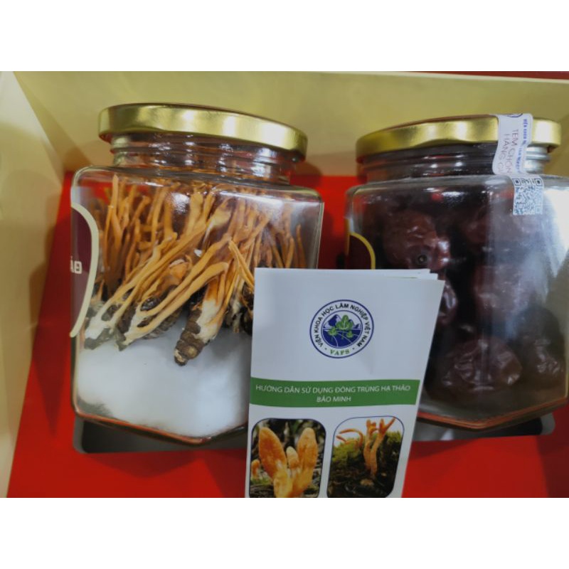 Set Quà Đông Trùng Hạ Thảo Sấy Thăng Hoa Và Tam Thất