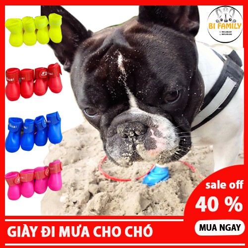 Giày đi mưa cho chó, ủng đi dạo cho chó, ủng đi mưa cho thú cưng