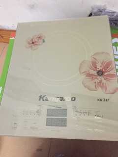 Bếp từ Kangaroo KG418I