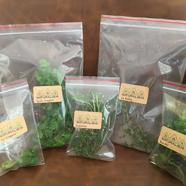 Lá bạc hà Tươi/Khô Hữu Cơ Mint Organic