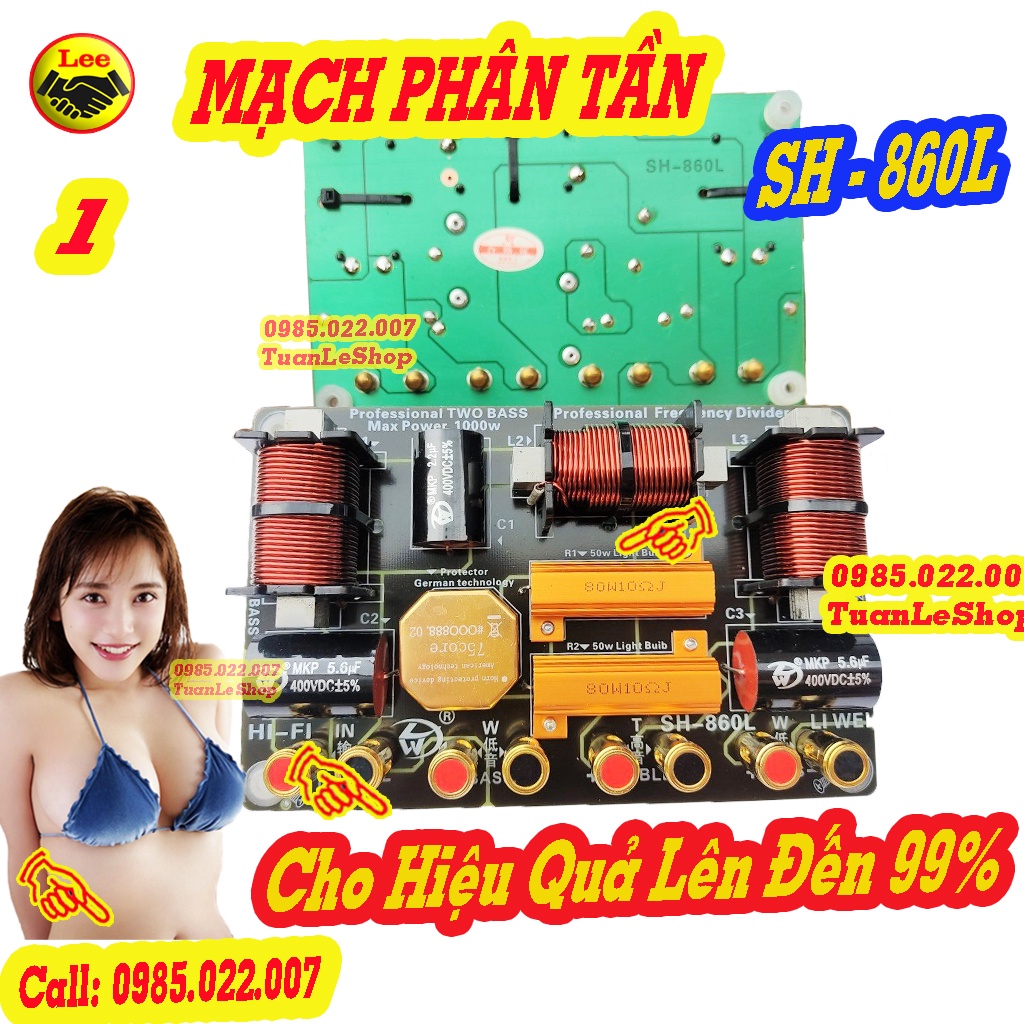 MẠCH FULL ĐÔI CÔNG SUẤT LỚN, MACH LOA CHỐNG CHÁY TREBLE 750 - 2 BASS + 1 TREP  SH - 860L GIÁ 01 MẠCH