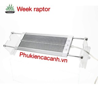 Đèn week raptor rgb