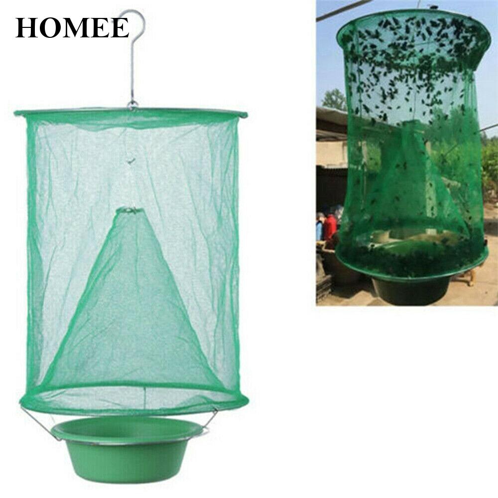 Bẫy Bắt Ruồi Hiệu Quả