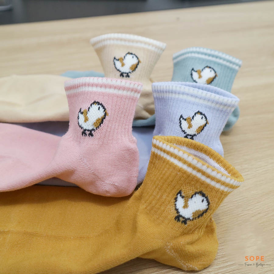 Tất cổ ngắn họa tiết hình gà con đáng yêu, set tất vớ chất liệu vải co giãn bốn chiều - Sope Shop