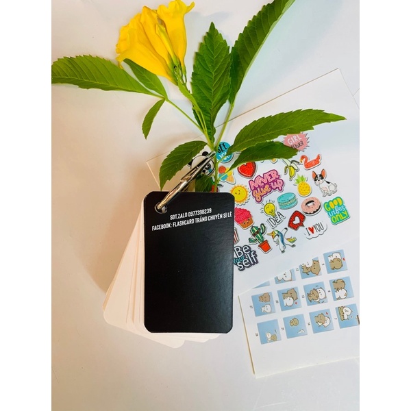 Flashcard 100 thẻ kèm khoen bìa như hình