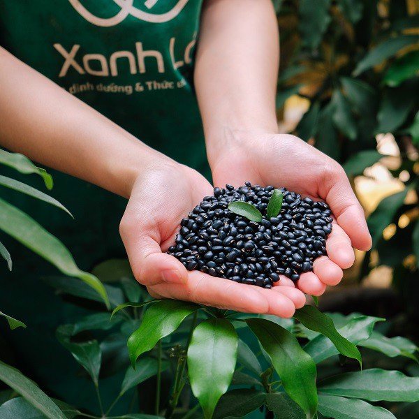 Đậu đen xanh lòng