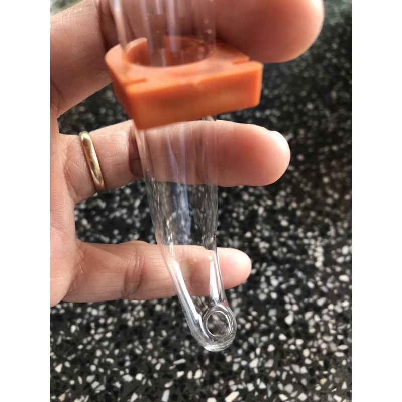 Ống nước thuỷ tinh cho chim chào mào và các dòng chim nhỏ