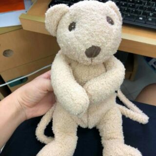 Balo gấu teddy cho bé