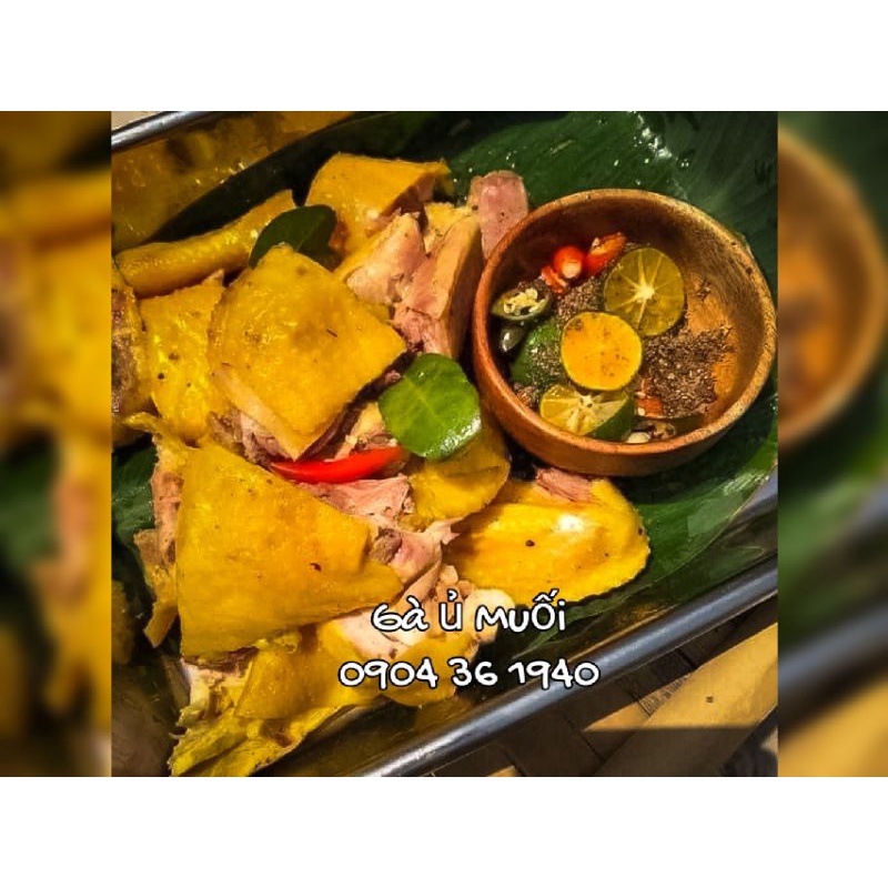 HCM - Gà Ri ủ muối 1 con >1kg làm nóng ăn liền không cần nấu - Trần Hưng Đạo Q1 Q5