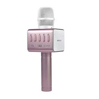 Micro AAP audio K-66