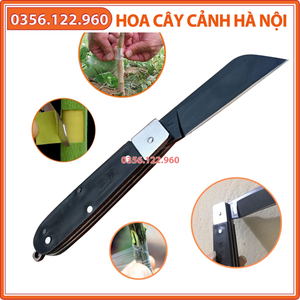 Dao chiết ghép cành thép đen cán gấp, lưỡi thép đen sắc bén - Shop hoa cây cảnh Hà Nội