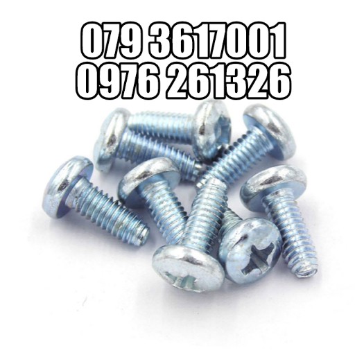 BULONG TỰ REN - VÍT TỰ REN - TỰ TARO _BỊCH 100 CON