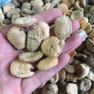 Hạt sang ( sành) rừng 9,5k/1hạt bán từ 10 hạt