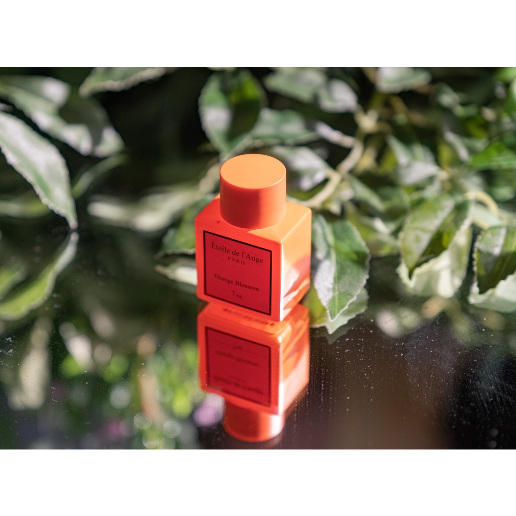 Nước Hoa Vùng Kín Etoile De Lange Hương Orange Blosom Hàn Quốc 7ml Nhẹ Nhàng Lưu Hương Lâu