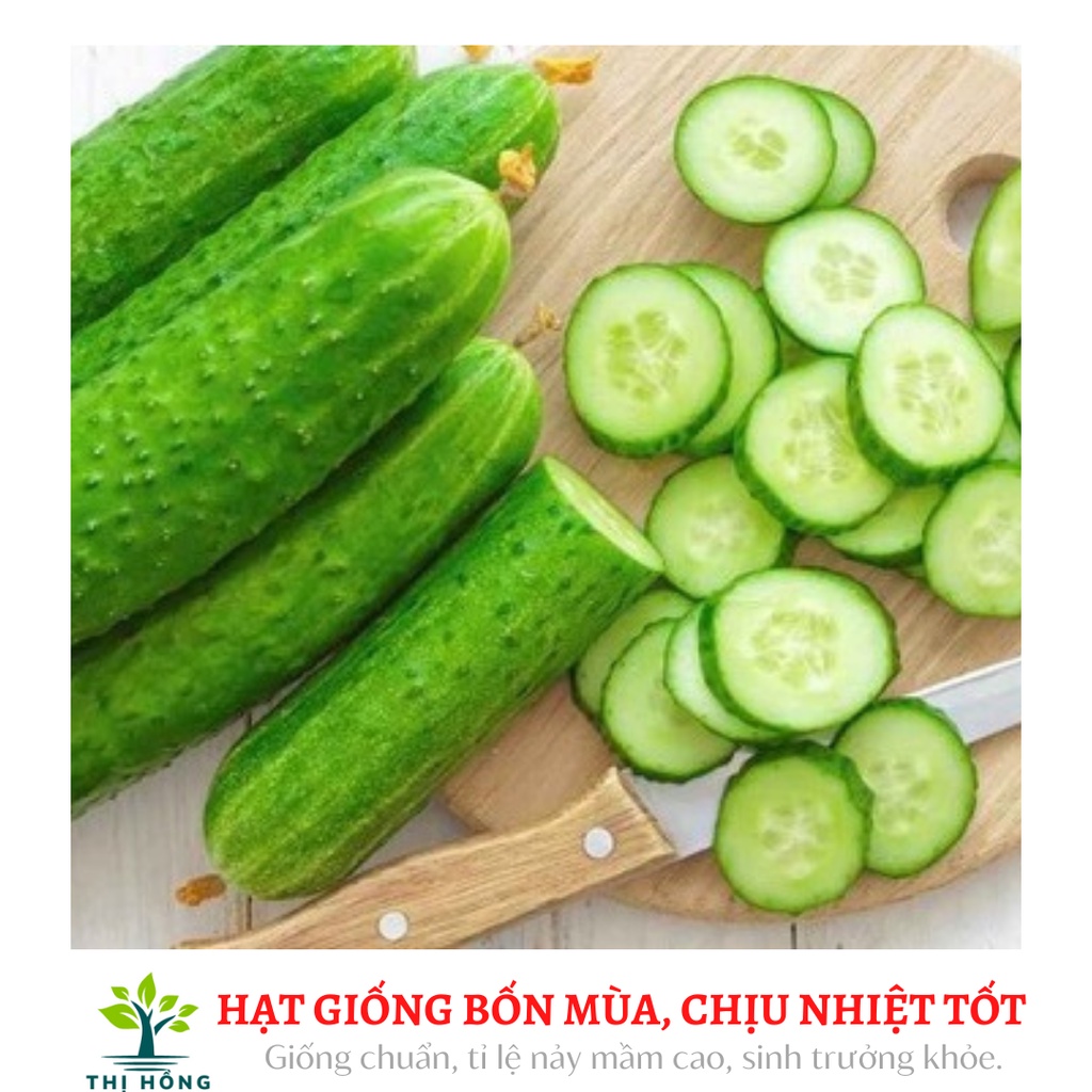 Hạt giống dưa chuột nếp Yên Mỹ 2g