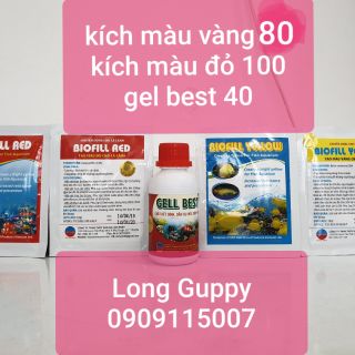 Kích màu cho cá ( mua 1 combo chỉ 200k )