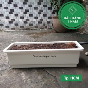 Chậu Nhựa Trồng Cây Thông Minh 67x24x20