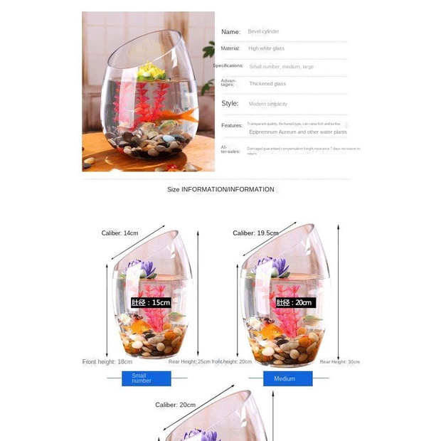 Bể Cá Thủy Tinh Trong Suốt Hình Tròn Cỡ Lớn Sáng Tạo Trang Trí Phòng Khách / Văn Phòng