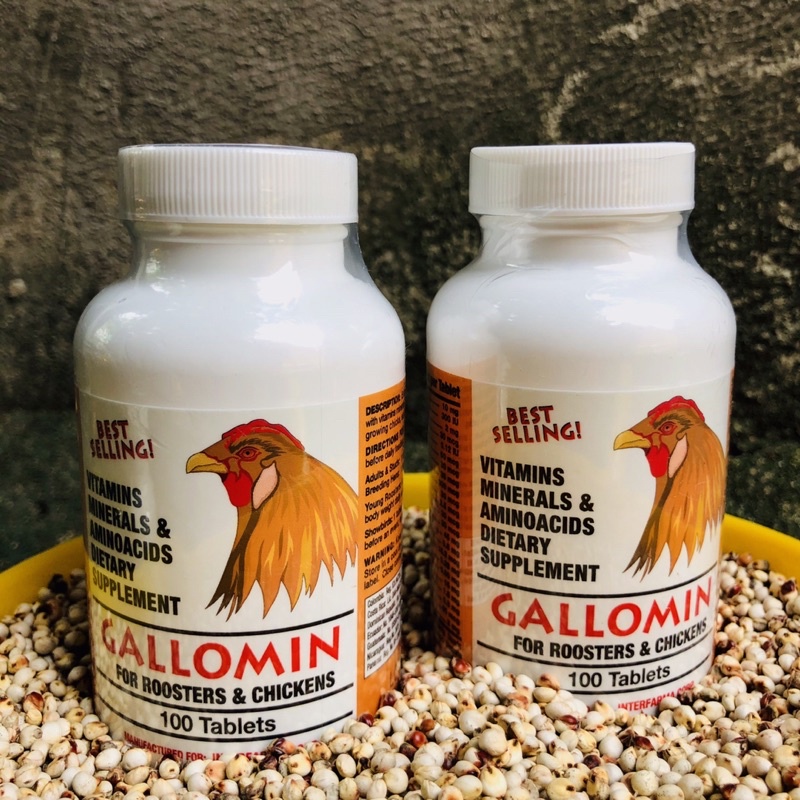 Gallomin thuốc nuôi cho gà đá tăng bo, dinh dưỡng cho chiến kê