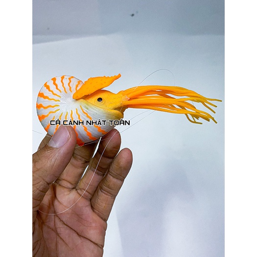 ÓC SÊN HÍT ĐÁY NỔI TRANG TRÍ BỂ CÁ CẢNH DÀI 8CM