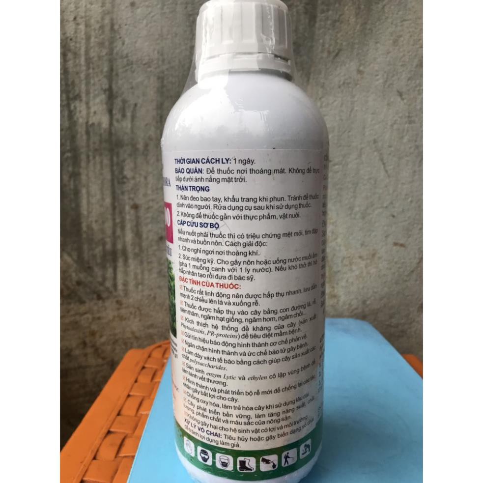 Thuốc đặc trị nấm chết nhanh Phytophthora: AGRI- FOS 400 1 LÍT Agrifos 400