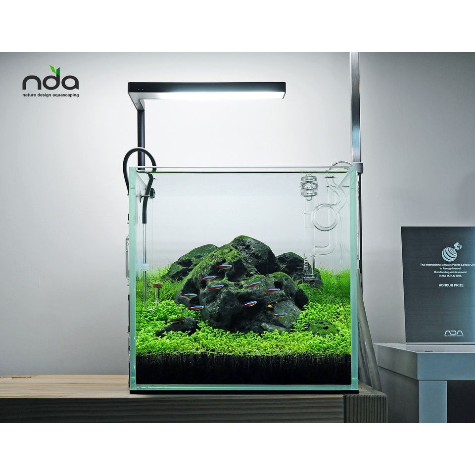 ĐẦU IN THỦY TINH LỌC VÁNG MINI CHO HỒ NANO ISTA MINI GLASS SURFACE