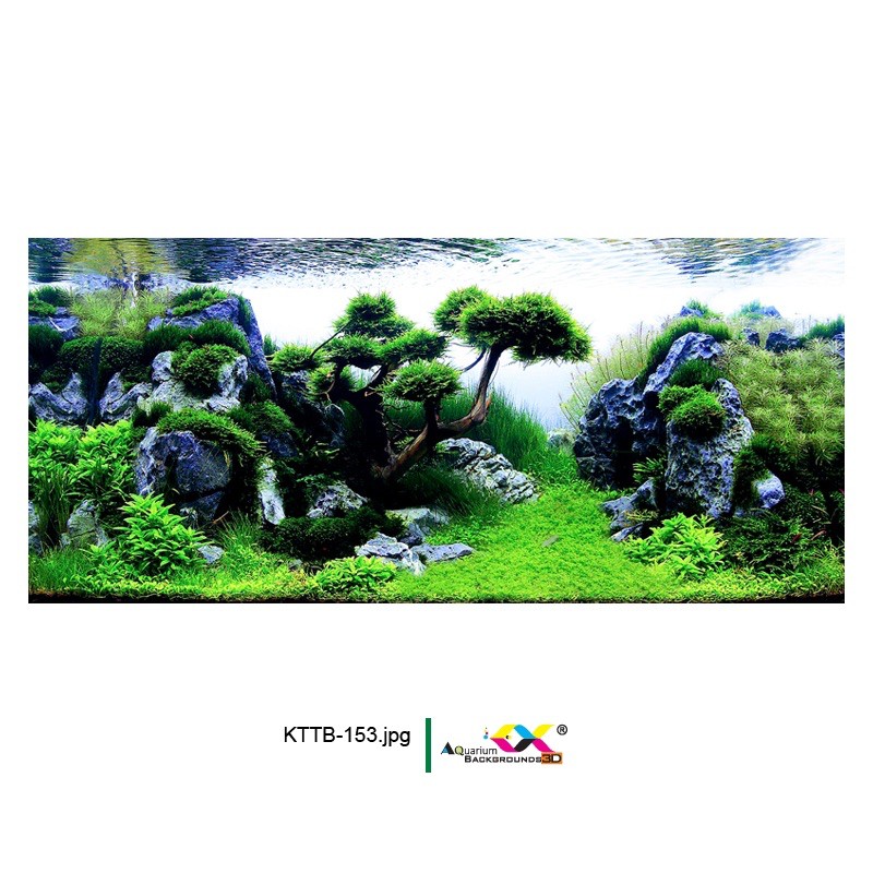 Tranh 3D dán hồ cá, bể thủy sinh siêu đẹp, tranh có keo sẵn trên bề mặt, có thể làm theo kích thước yêu cầu