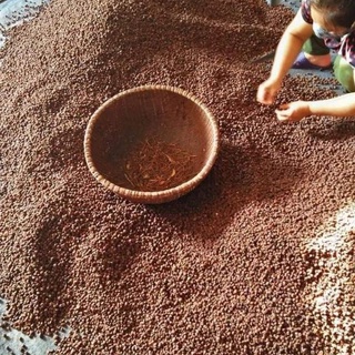 [1000g] QUẢ MÓC MẬT KHÔ LẠNG SƠN- HÀNG LOẠI 1
