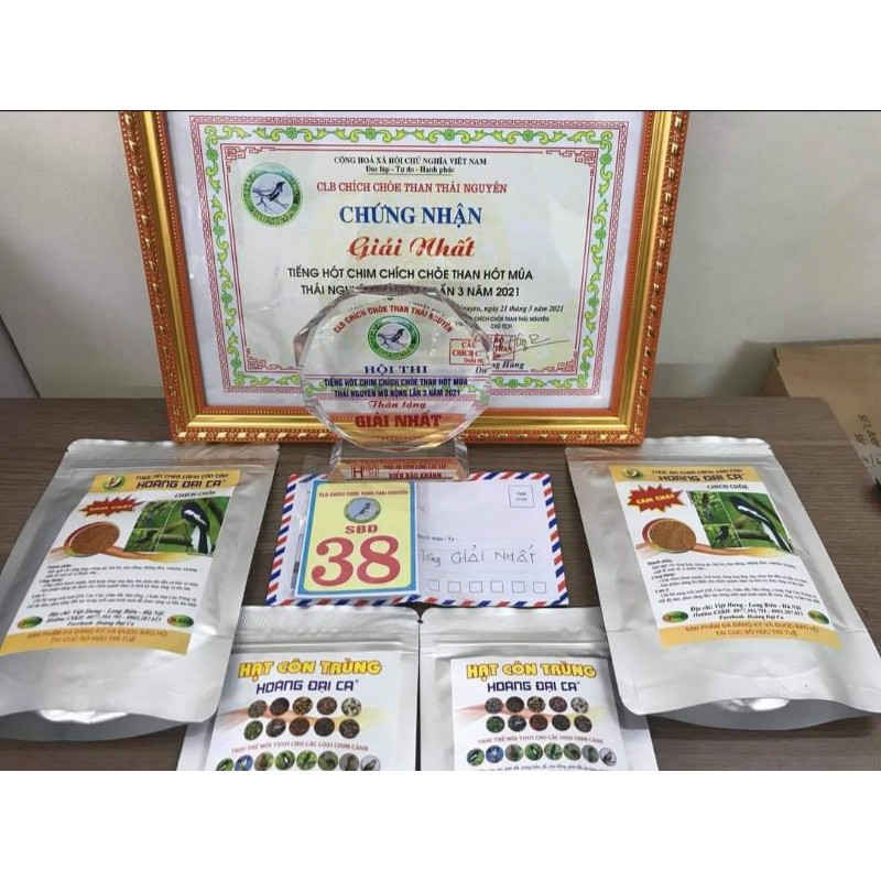 Cám Chim Chích Chòe Hoàng Đại Ca .