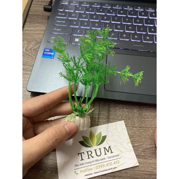 Cây kiểng nhựa trang trí hồ cá thuỷ sinh