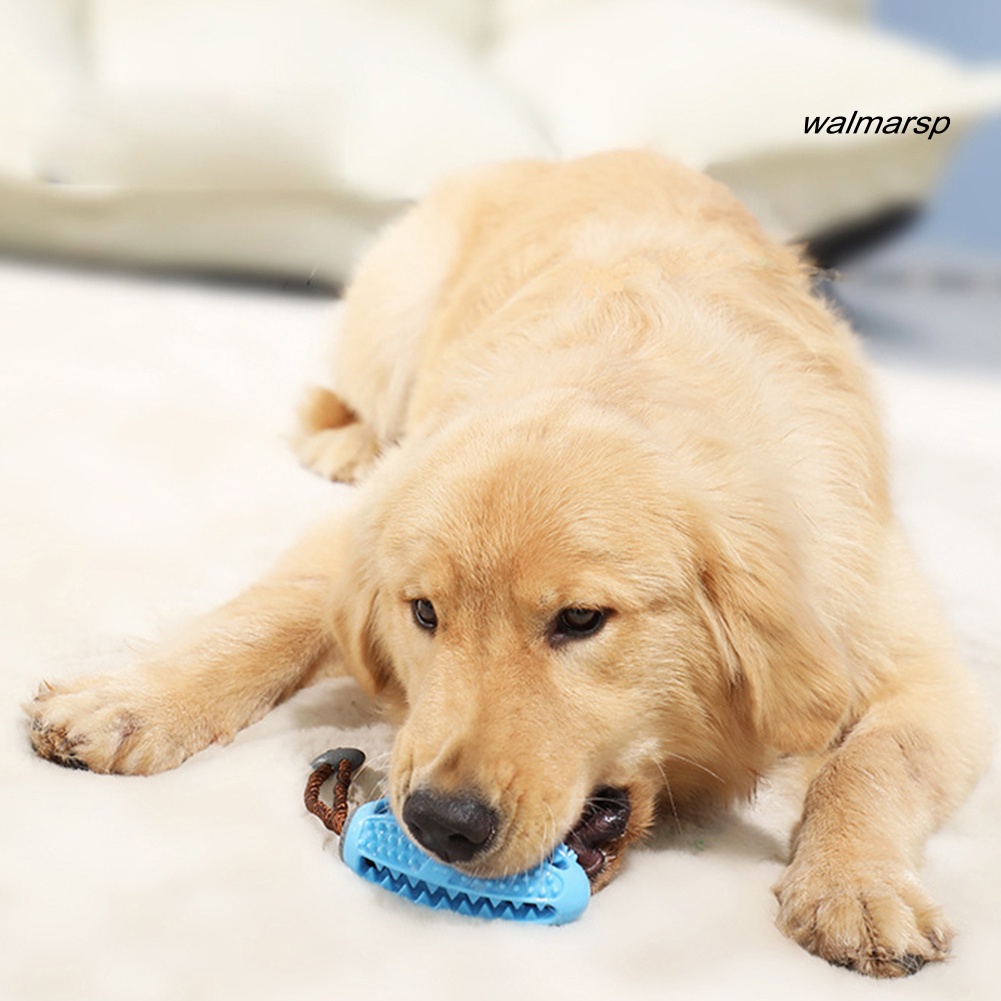 Đồ Chơi Nhai Gặm Co Giãn Hình Quả Bóng Bầu Dục Cho Thú Cưng