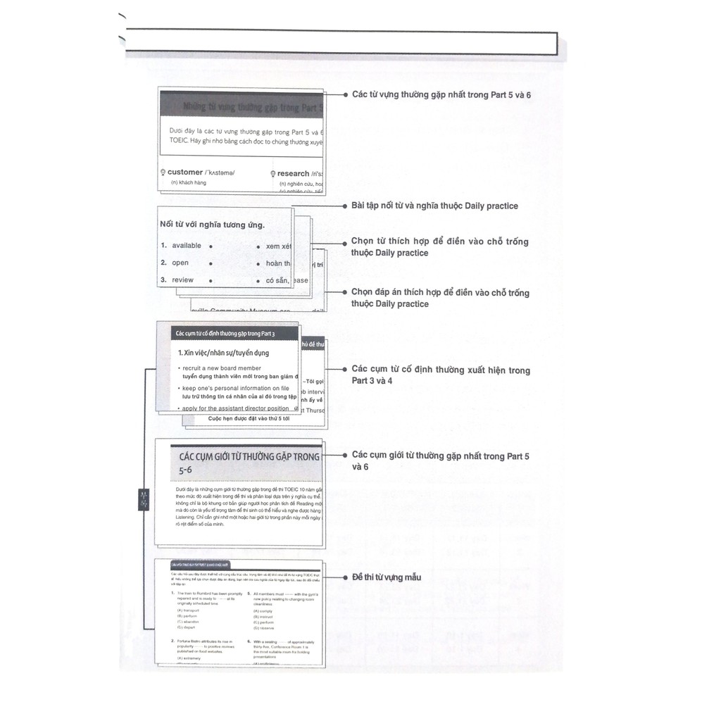 Sách - Toeic Vocab Basic - 1000 Từ Vựng Cơ Bản Kèm Bài Tập Dành Cho Người Mới Bắt Đầu