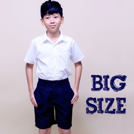 Áo học sinh nam xếp li ngực từ 35kg- 65 kg ,áo đi học bé trai cấp 2, cấp 3 ( Có big size) TDP004 Jadiny