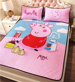 CHIẾU ĐIỀU HÒA TENCEL. Được Chọn Mẫu