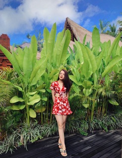 JUM HOA ĐỎ THẮT NƠ ( ẢNH SHOP CHỤP)