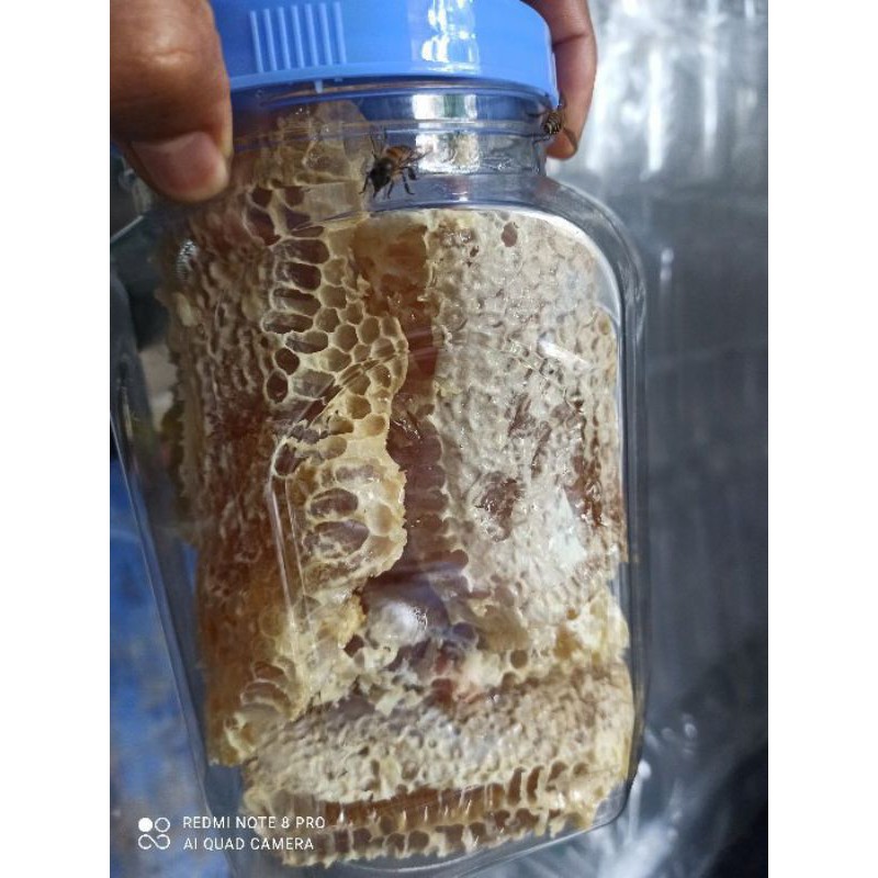 [HÓT HÓT]  MẬT ONG BÁNH TỔ (HÔP 500G) | BigBuy360 - bigbuy360.vn