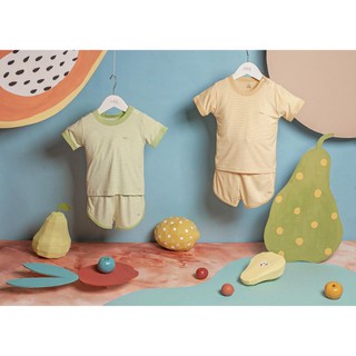 (Đủ size)(NOUS) BỘ CỘC PETIT  CÀI VAI CÚC THẲNG (3-24M)