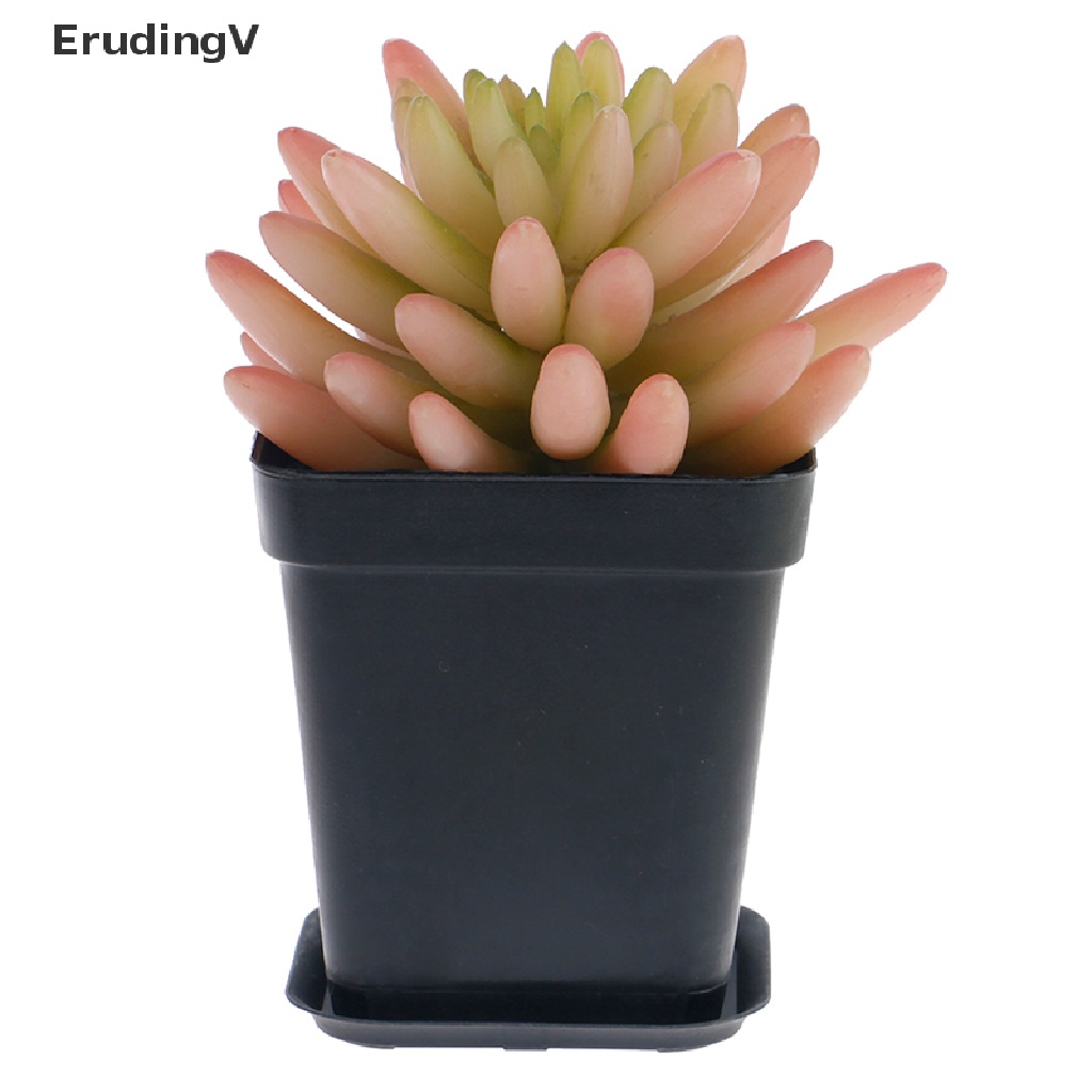 Bộ 5 Chậu Hoa Mini Hình Vuông Bằng Nhựa Dùng Trang Trí Bàn Làm Việc