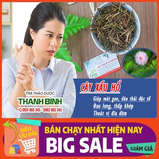 Cây Xấu Hổ (Trinh Nữ) Khô 100Gr - Hàng Loại 1