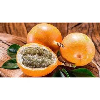 Cây giống chanh dây ngọt siêu sớm .