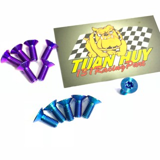 Ốc Titanium GR5 6 ly đầu dù âm, dù bằng (M6*12) gắn trực tiếp cho lòng dĩa KTM (260 mm)