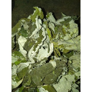lá gai khô 1kg