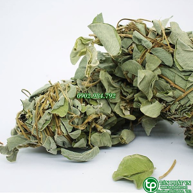 Kim tiền thảo sấy khô