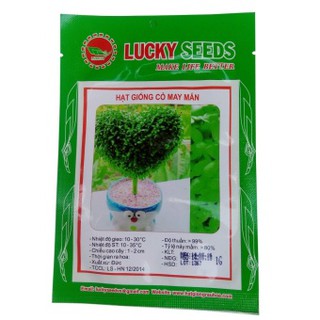Hạt giống Cỏ May Mắn - 1 gói 1gram