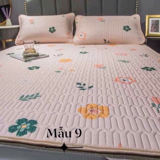 Chiếu điều hoà cao su non
