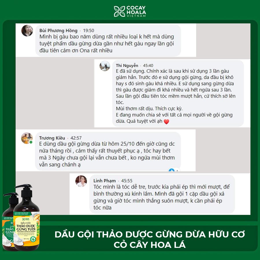 Dầu gội thảo dược gừng dừa hữu cơ - Dầu gội thảo dược gừng dừa Cocayhoala đánh bay gàu, giảm ngứa dung tích 440g/chai | BigBuy360 - bigbuy360.vn