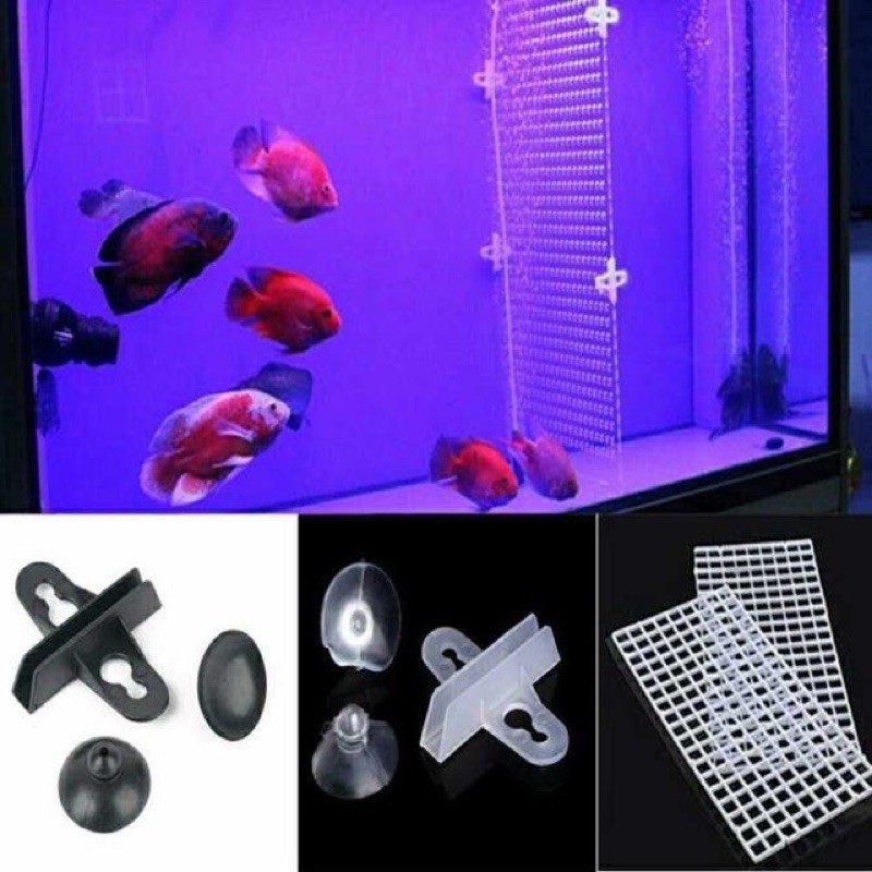 Combo vách ngăn 30x30cm bể cá