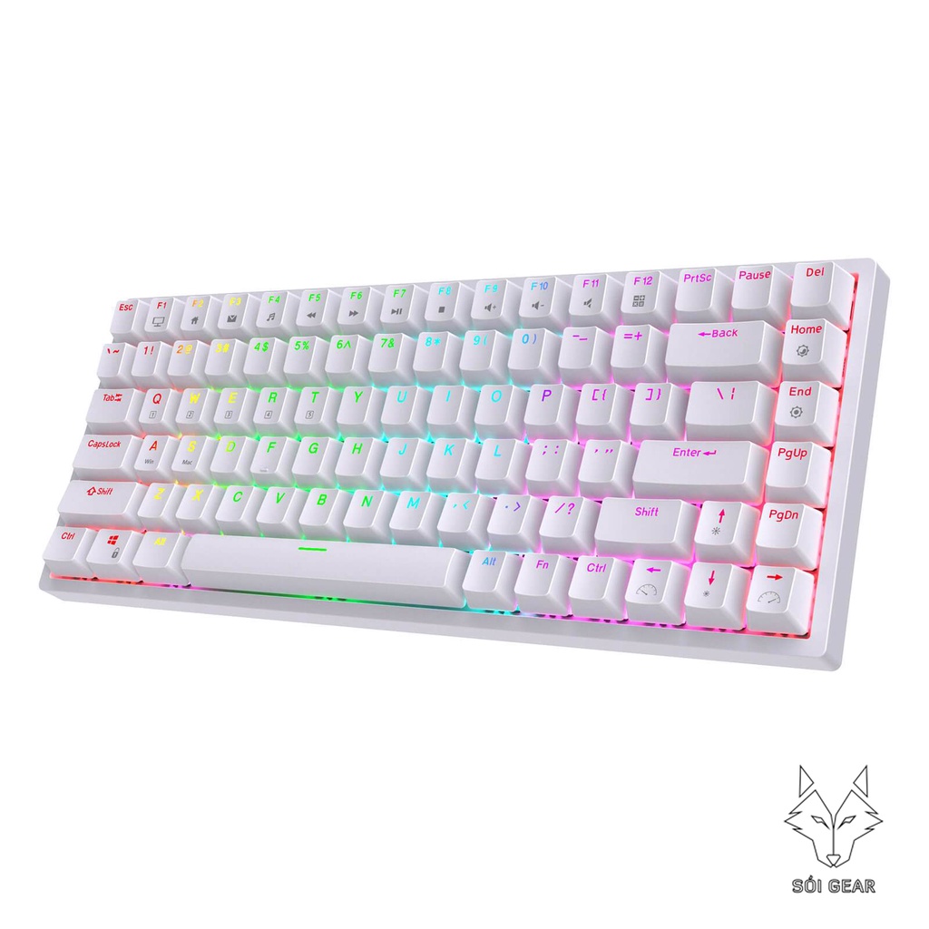 Bàn phím cơ không dây Royal Kludge RK84 HOTSWAP, Led RGB, Type C, Bluetooth 5.0, Wireless 2.4G, Đen/Trắng
